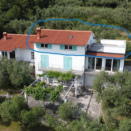House Among Olive Trees With A Sea View 1 Apartment Анкаран Екстериор снимка