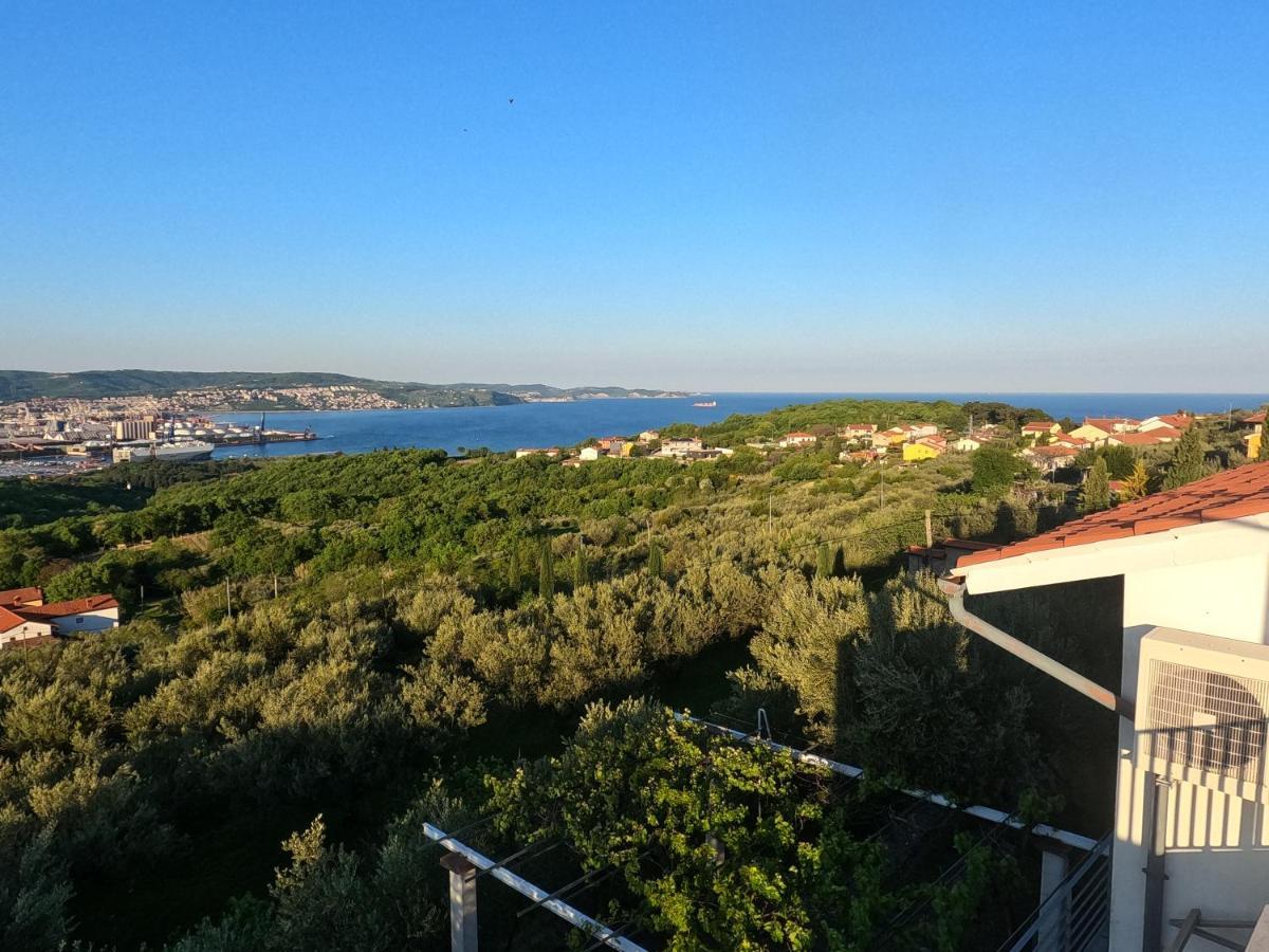 House Among Olive Trees With A Sea View 1 Apartment Анкаран Екстериор снимка