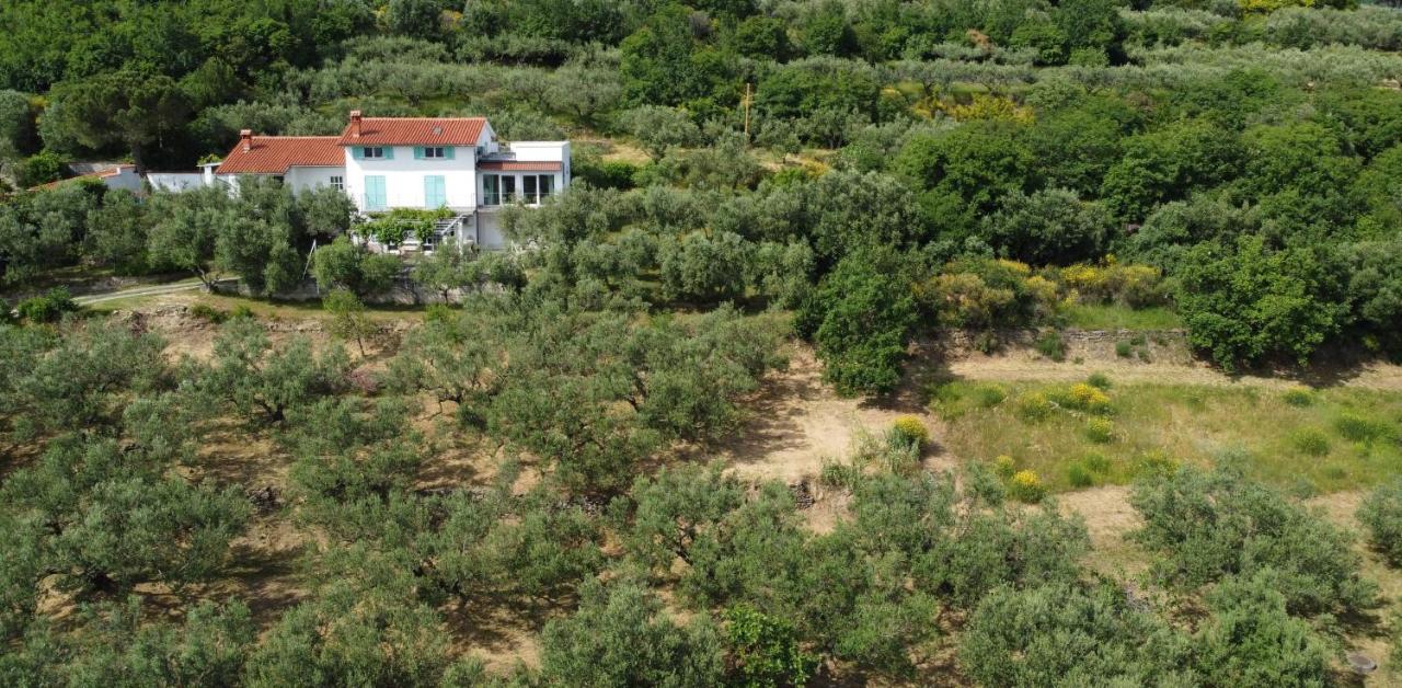 House Among Olive Trees With A Sea View 1 Apartment Анкаран Екстериор снимка