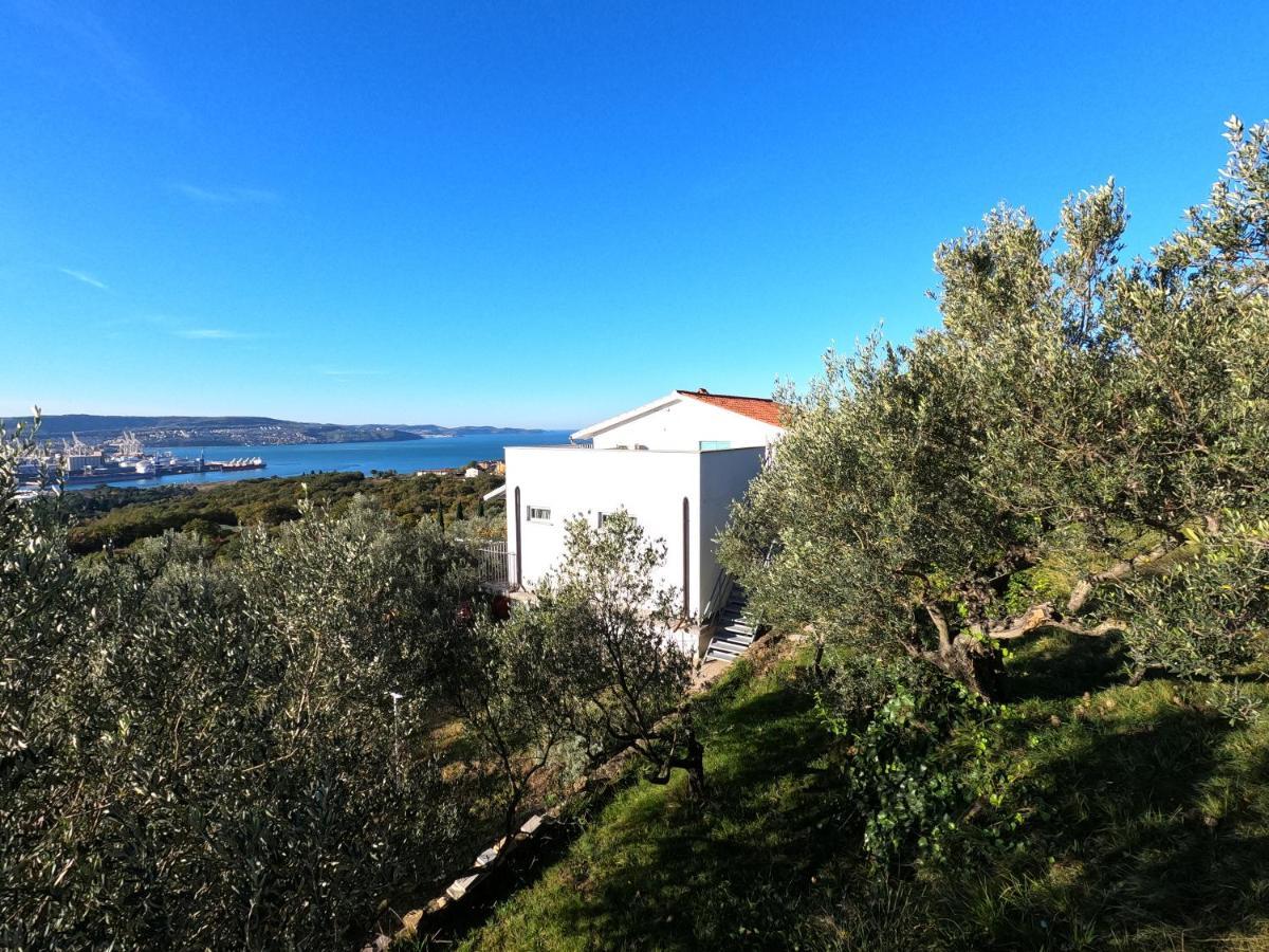 House Among Olive Trees With A Sea View 1 Apartment Анкаран Екстериор снимка